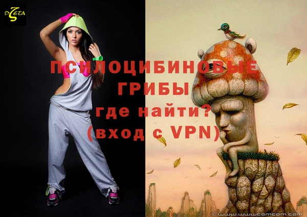 spice Алексеевка