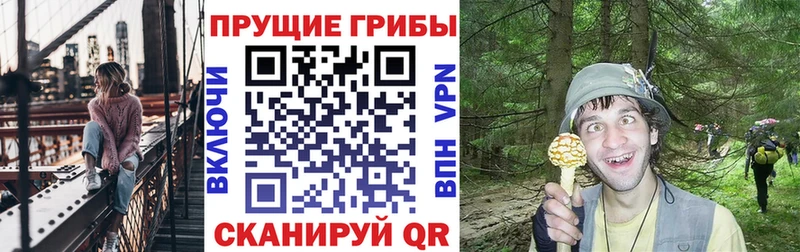 это клад  Сясьстрой  Галлюциногенные грибы MAGIC MUSHROOMS 